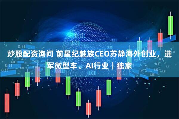 炒股配资询问 前星纪魅族CEO苏静海外创业，进军微型车、AI行业｜独家