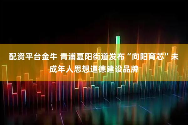 配资平台金牛 青浦夏阳街道发布“向阳育芯”未成年人思想道德建设品牌