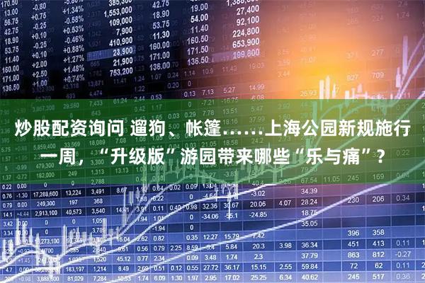 炒股配资询问 遛狗、帐篷……上海公园新规施行一周，“升级版”游园带来哪些“乐与痛”？